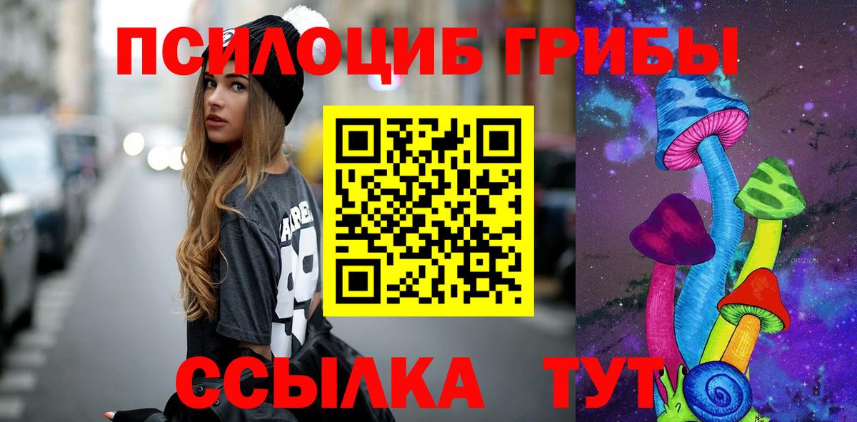 Воскресенск  Галлюциногенные грибы Cubensis  Вход с VPN 