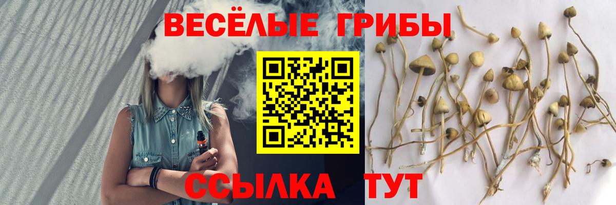 Псилоцибиновые грибы мицелий Воскресенск