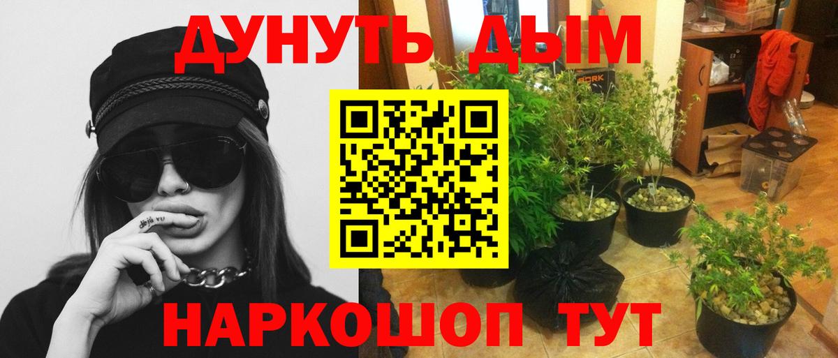 Бошки Шишки семена  МАРИХУАНА гибрид  Воскресенск  Вход с VPN  МАРИХУАНА VHQ 